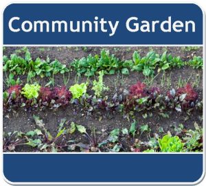Community Garden Webpage