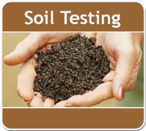 Soil Testing Information Webpage