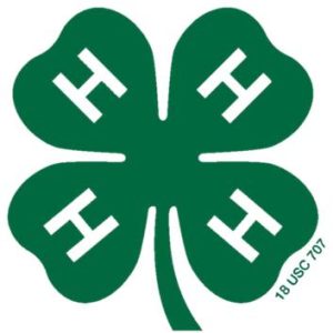 Clover emblem 04 transparent