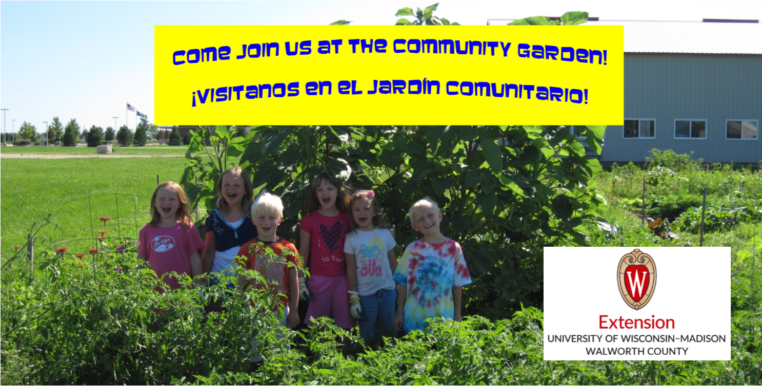 Community Garden Jardin Comunitario Extension Walworth County