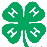 Discover 4-H