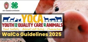 YQCA 2025 Guidelines