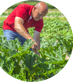 Agriculture Crops and Soils Update