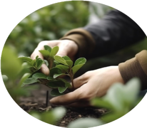 Horticulture Updates