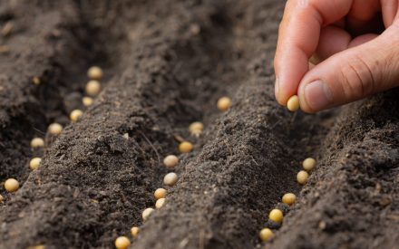 It’s starting to get nice out, when can I plant my vegetable crops?
