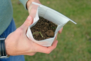 Where can I get my soil tested?