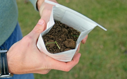 Where can I get my soil tested?