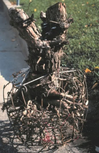We were told we didn’t have to remove the burlap or wire basket around the root ball when we planted our trees. Is this right?